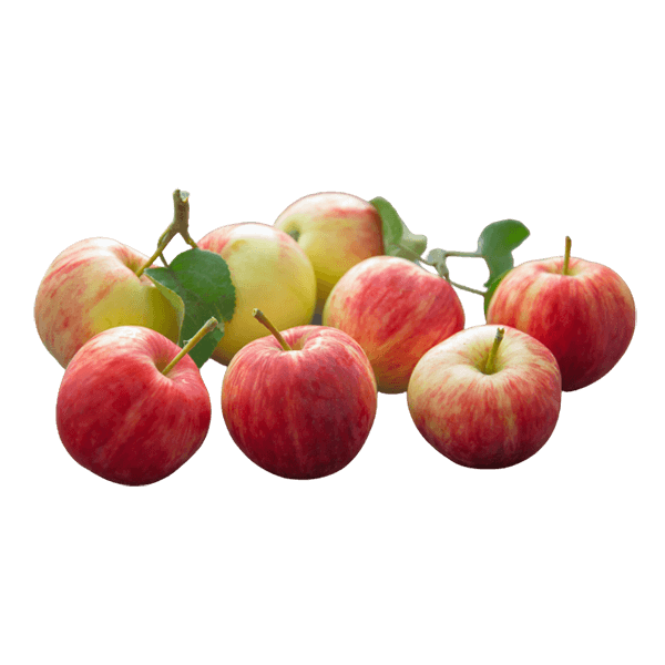 organicc-apples.png