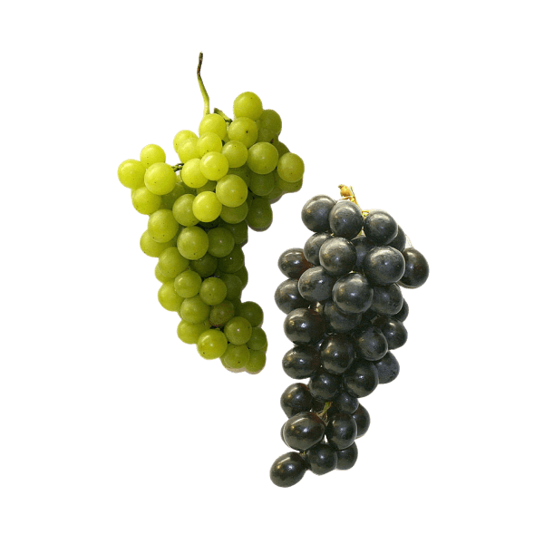 organicc-grapes.png